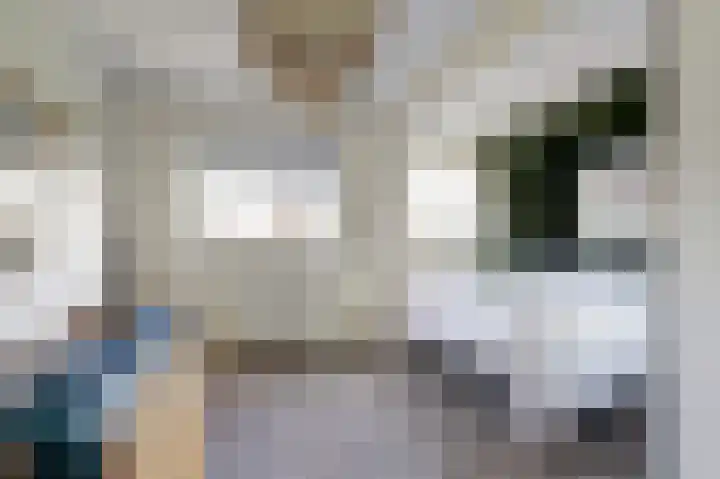 Eemsplantsoen 12 Berkel en Rodenrijs thumbnail 18