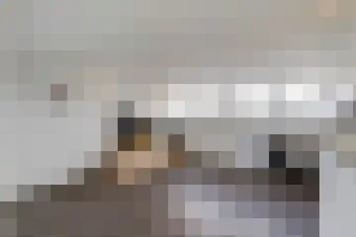 Eemsplantsoen 12 Berkel en Rodenrijs thumbnail 23