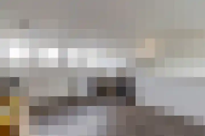 Eemsplantsoen 12 Berkel en Rodenrijs thumbnail 25