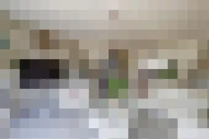 Eemsplantsoen 12 Berkel en Rodenrijs thumbnail 4
