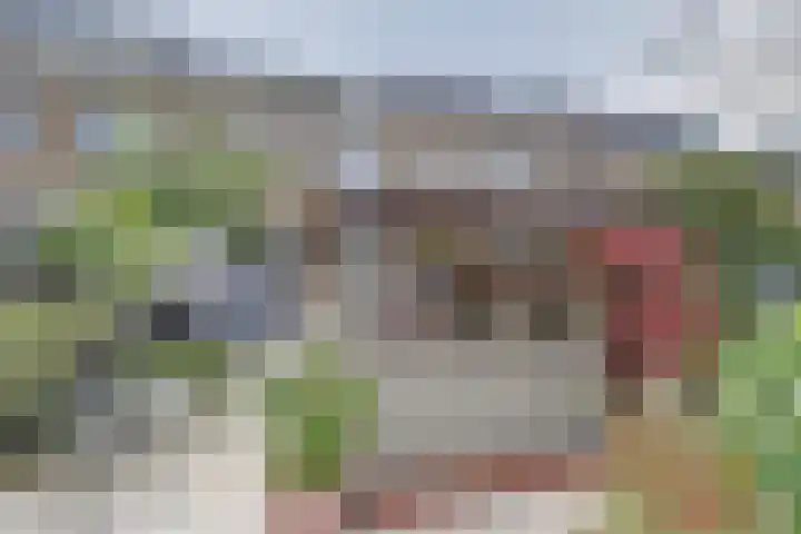 Eemsplantsoen 12 Berkel en Rodenrijs thumbnail 5