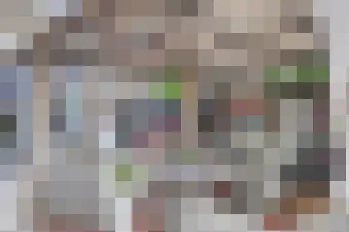 Eemsplantsoen 12 Berkel en Rodenrijs thumbnail 7