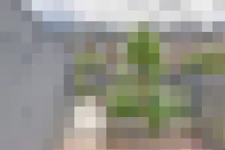 Eemsplantsoen 12 Berkel en Rodenrijs thumbnail 9