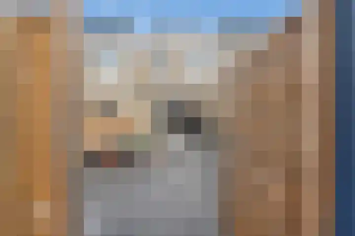 Eemsplantsoen 15 Berkel en Rodenrijs thumbnail 14