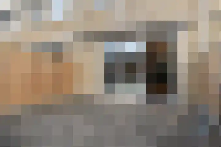 Eemsplantsoen 15 Berkel en Rodenrijs thumbnail 15