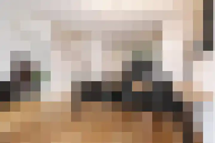 Eemsplantsoen 15 Berkel en Rodenrijs thumbnail 16