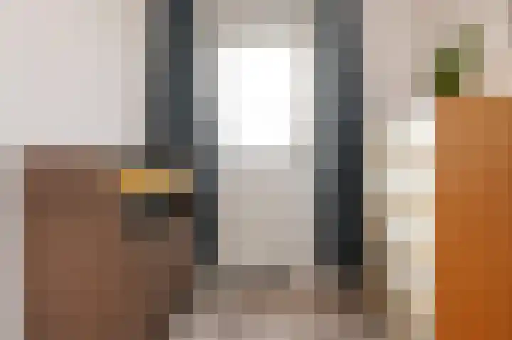Eemsplantsoen 15 Berkel en Rodenrijs thumbnail 20