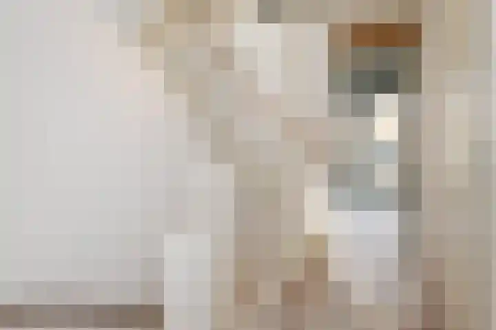 Eemsplantsoen 15 Berkel en Rodenrijs thumbnail 23