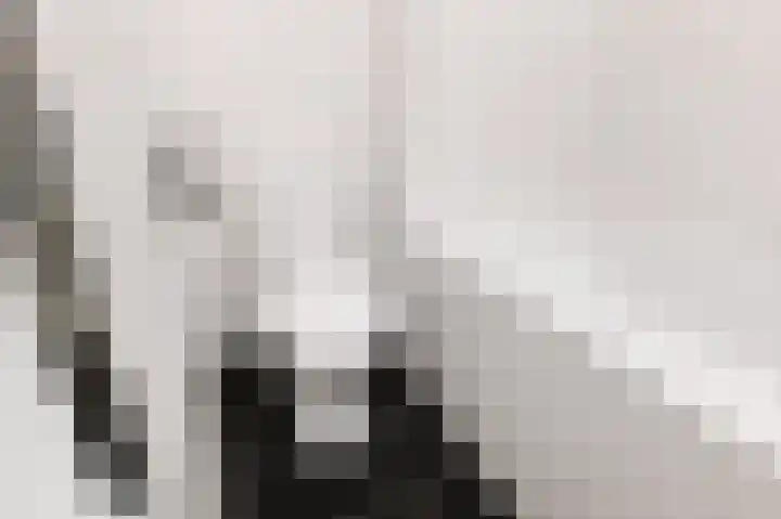 Eemsplantsoen 15 Berkel en Rodenrijs thumbnail 25