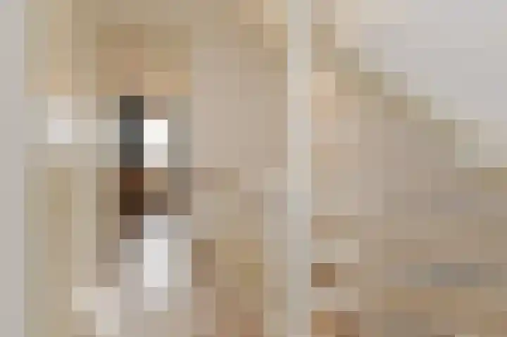 Eemsplantsoen 15 Berkel en Rodenrijs thumbnail 31