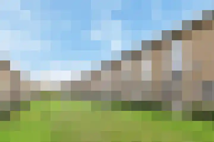 Eemsplantsoen 15 Berkel en Rodenrijs thumbnail 4