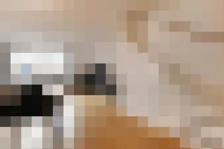 Eemsplantsoen 15 Berkel en Rodenrijs thumbnail 8
