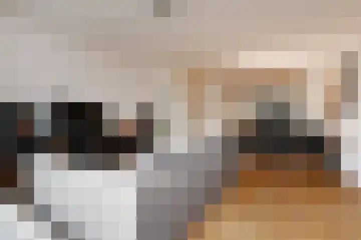 Eemsplantsoen 15 Berkel en Rodenrijs thumbnail 9