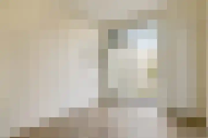Eemsstraat 14 1 Amsterdam thumbnail 12