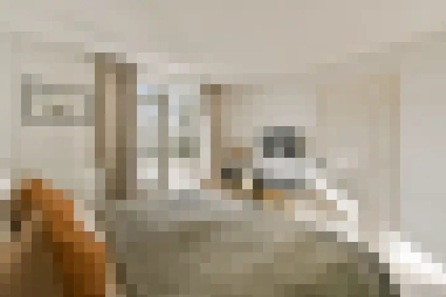 Eemsstraat 15 1 Amsterdam thumbnail 14