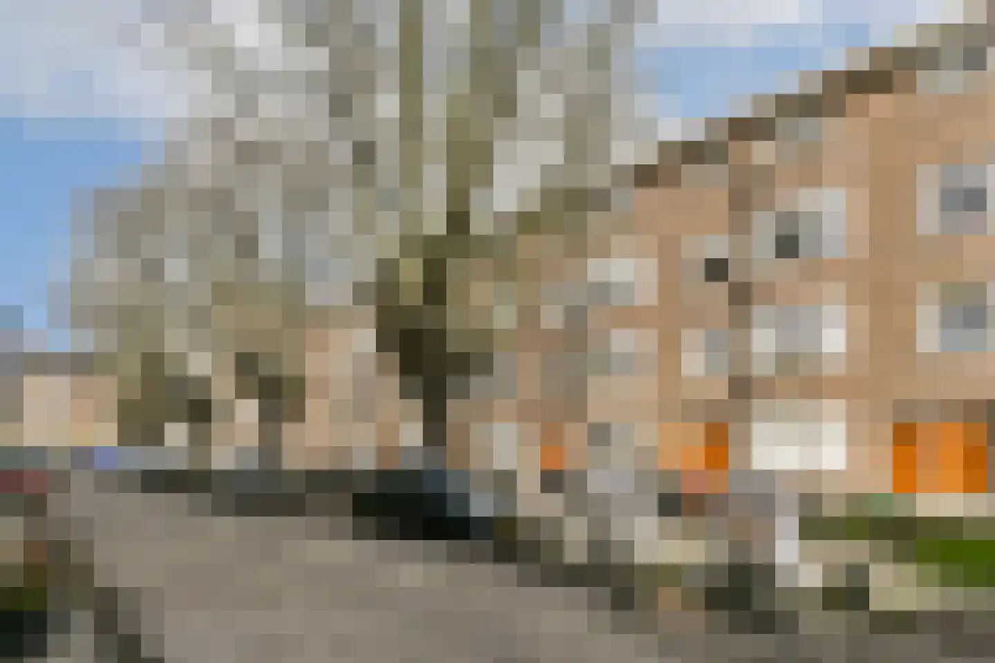 Eemsstraat 15 1 Amsterdam thumbnail 17