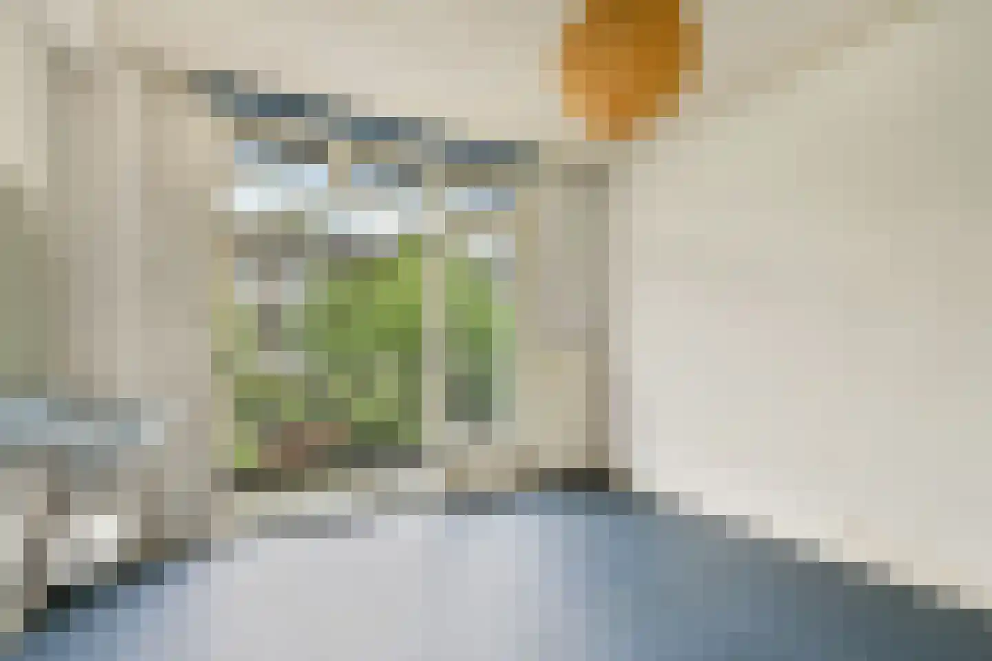 Eemsstraat 21 1 Amsterdam thumbnail 12