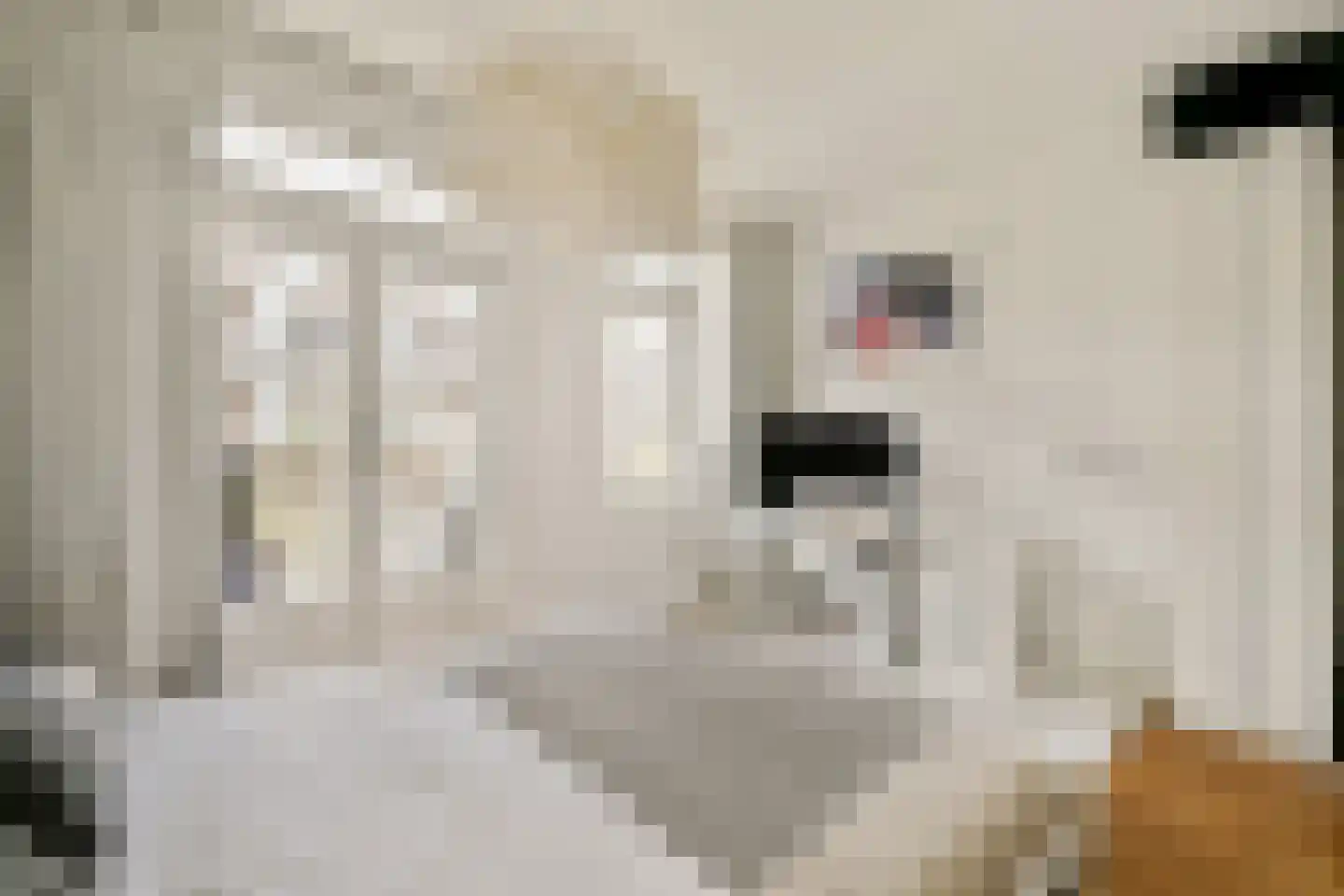 Eemsstraat 24 H Amsterdam thumbnail 10