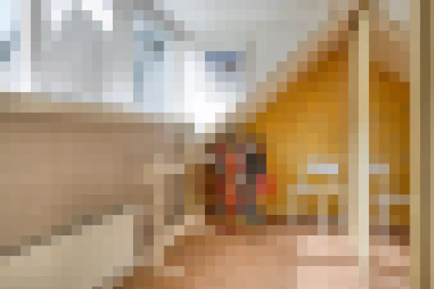 Eemsstraat 26 Emmeloord thumbnail 46