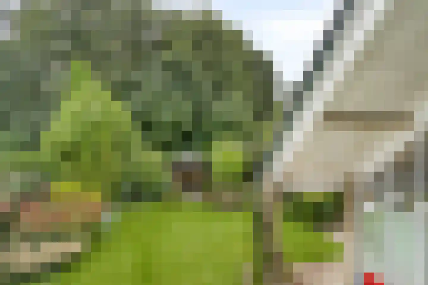 Eemsstraat 26 Emmeloord thumbnail 48