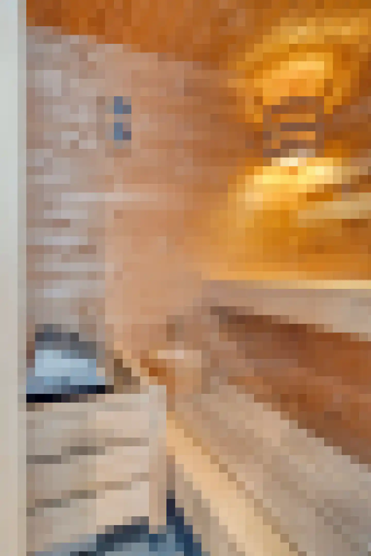 Eemsstraat 26 Emmeloord thumbnail 55