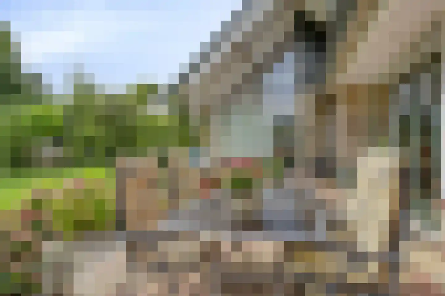 Eemsstraat 26 Emmeloord thumbnail 64