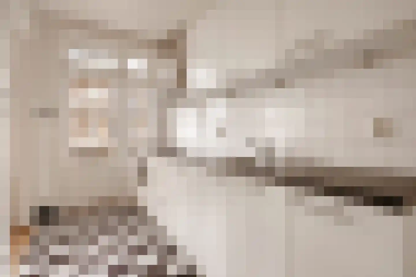 Eemsstraat 48 1 Amsterdam thumbnail 15