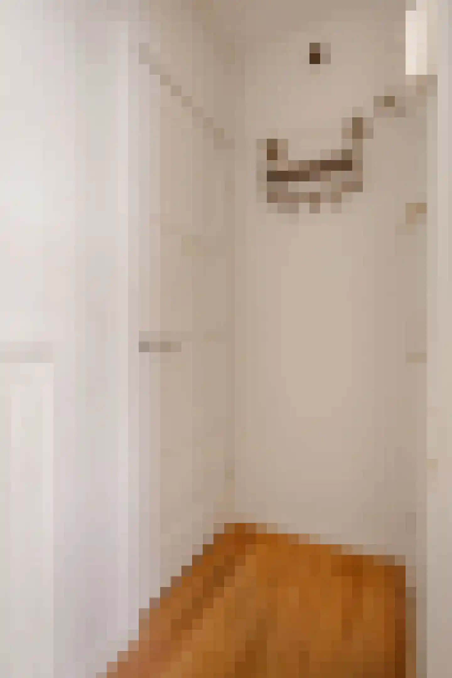 Eemsstraat 48 1 Amsterdam thumbnail 21