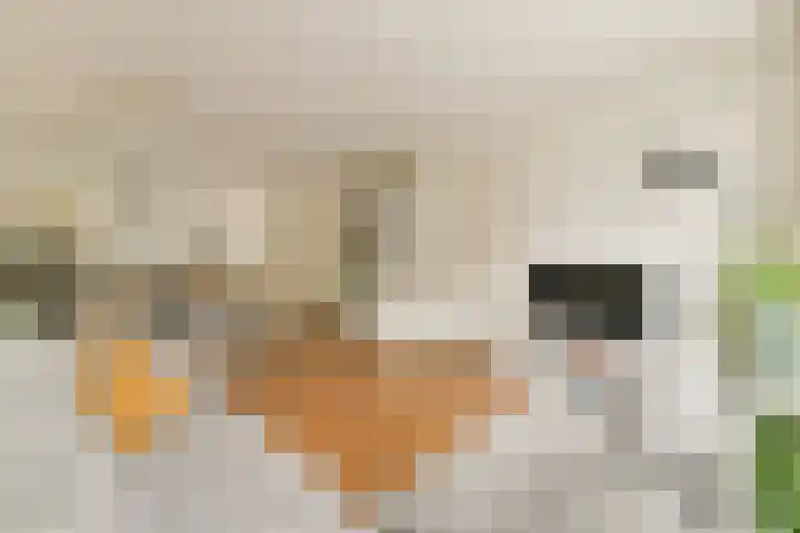 Eemsstraat 48 1 Amsterdam thumbnail 6