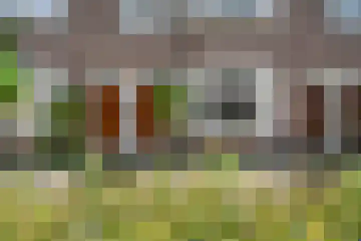 Eemsstraat 49 2 Amsterdam thumbnail 5