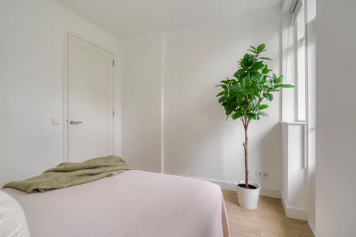 Eemsstraat 5 2 Amsterdam thumbnail 16