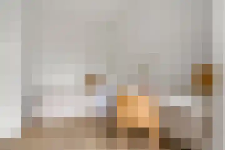 Eemsstraat 5 2 Amsterdam thumbnail 23