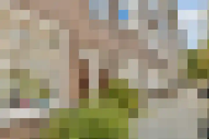 Eemsstraat 53 3 Amsterdam thumbnail 17