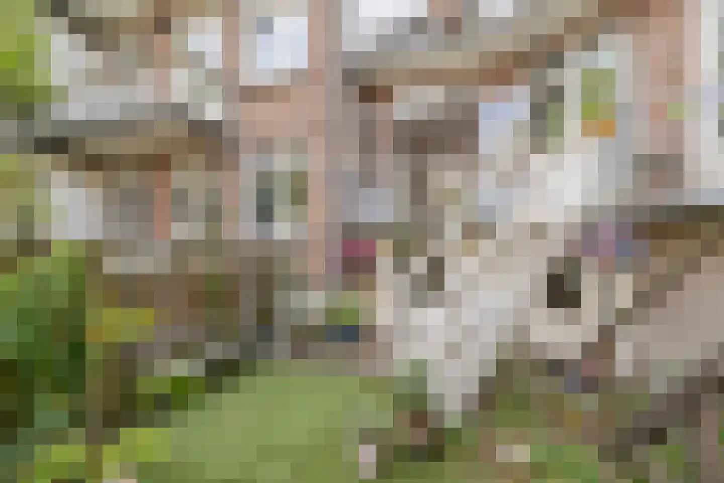 Eemsstraat 76 1 Amsterdam thumbnail 20