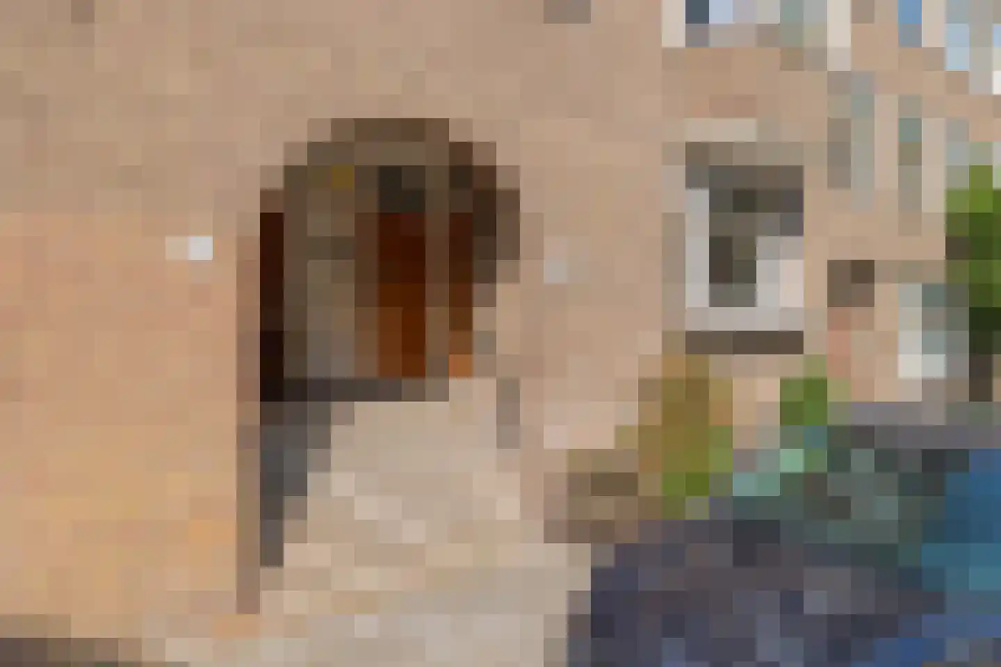 Eemsstraat 76 1 Amsterdam thumbnail 36