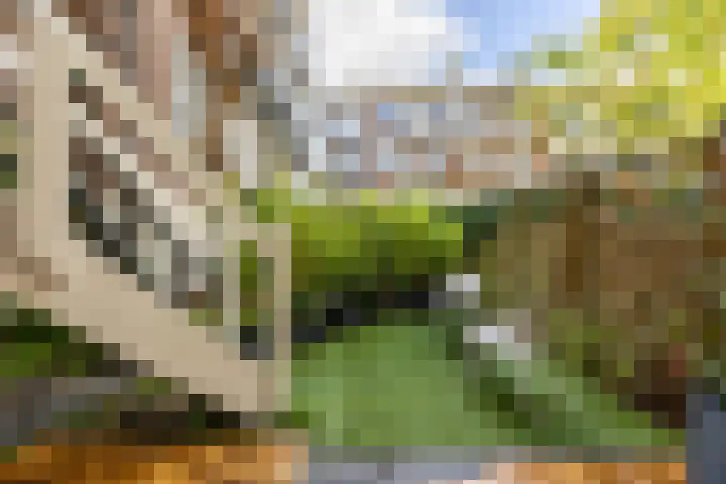 Eemsstraat 76 H Amsterdam thumbnail 20