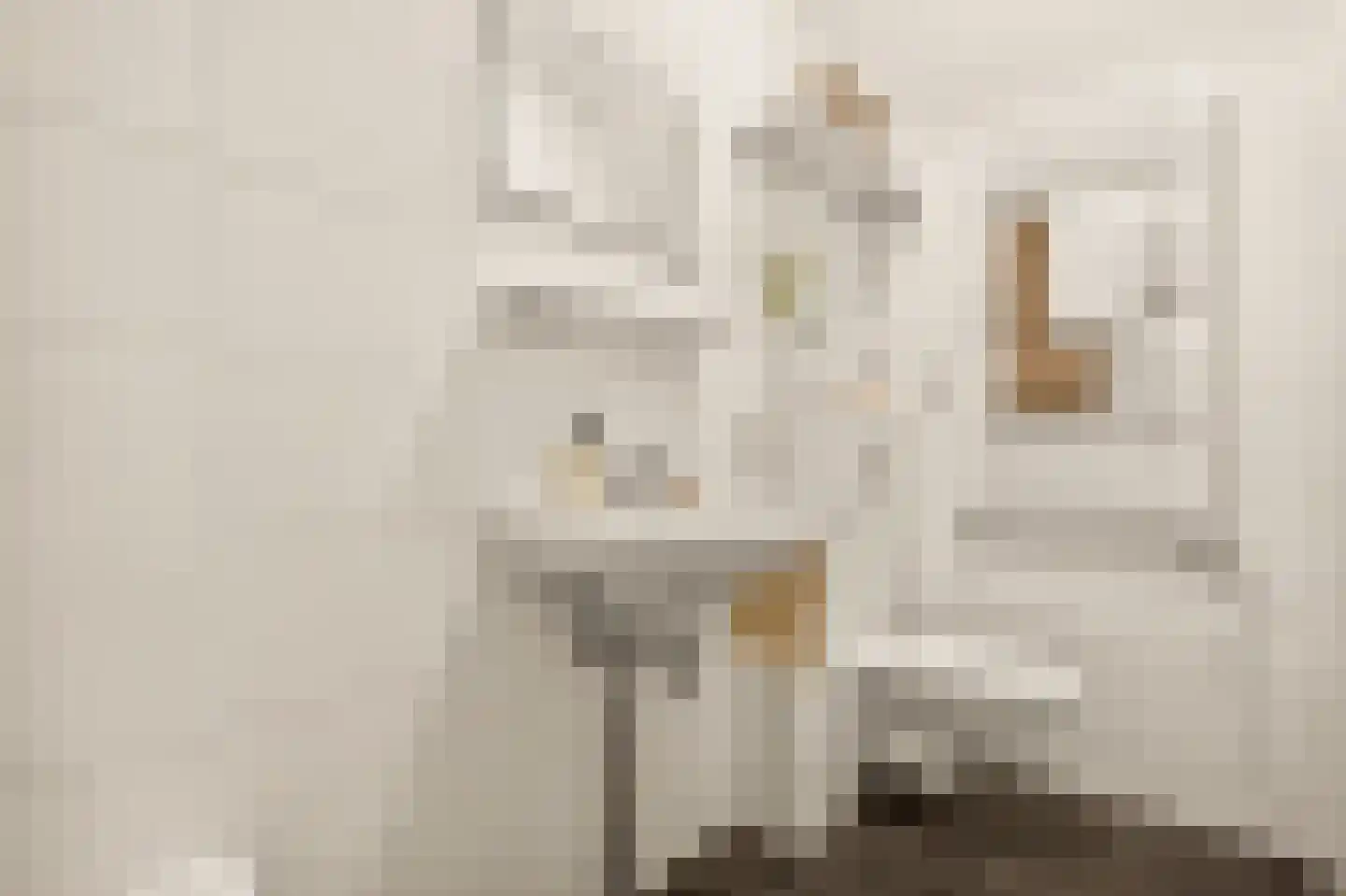 Eemsstraat 8 H Amsterdam thumbnail 35