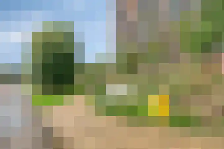 Eemstein 331 Zwijndrecht thumbnail 39