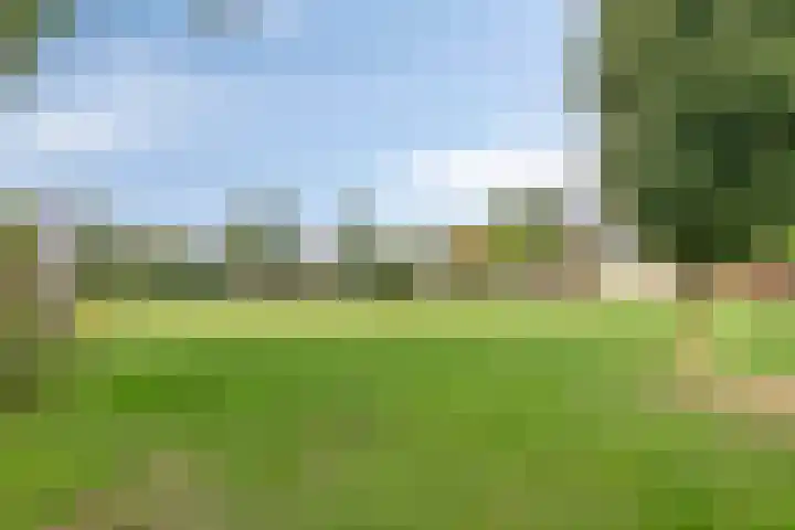 Eemstein 331 Zwijndrecht thumbnail 44