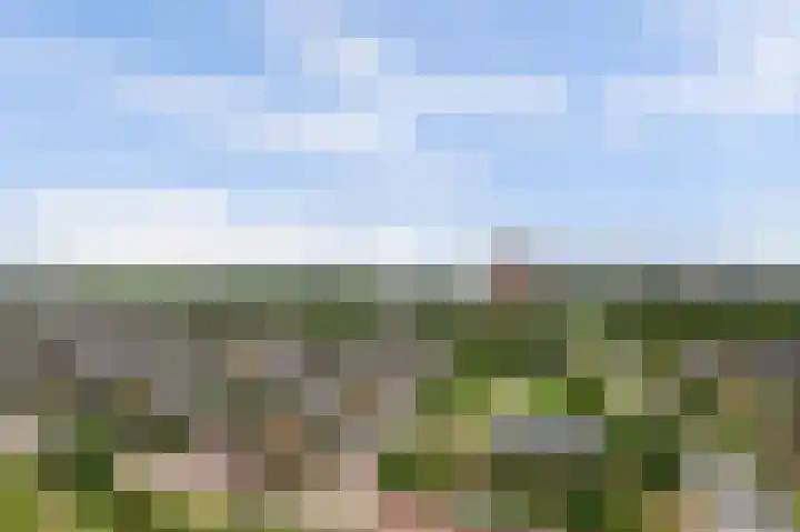 Eemsteintoren 24 Zwijndrecht thumbnail 26