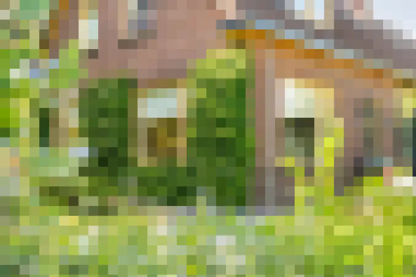 Eemster 23 Dwingeloo thumbnail 10