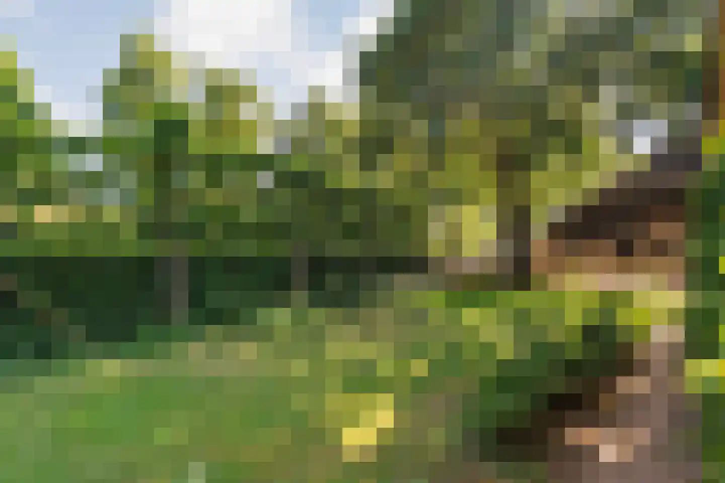 Eemster 23 Dwingeloo thumbnail 11