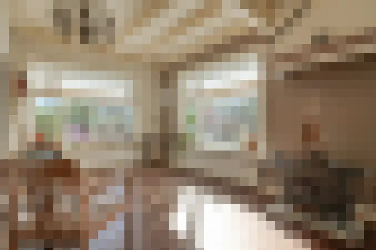Eemster 23 Dwingeloo thumbnail 18