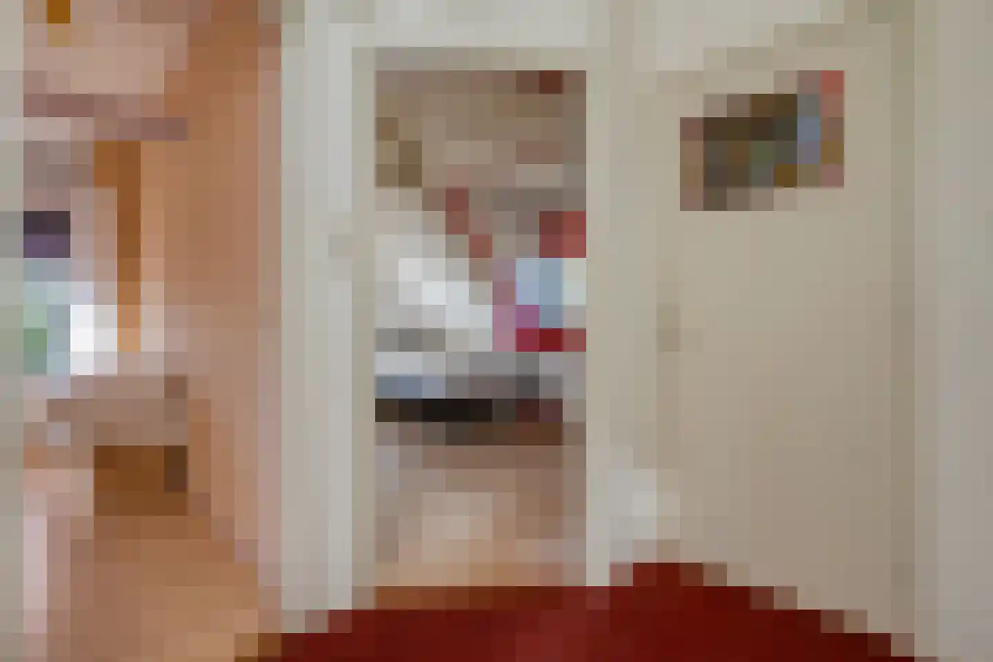 Eemster 23 Dwingeloo thumbnail 25