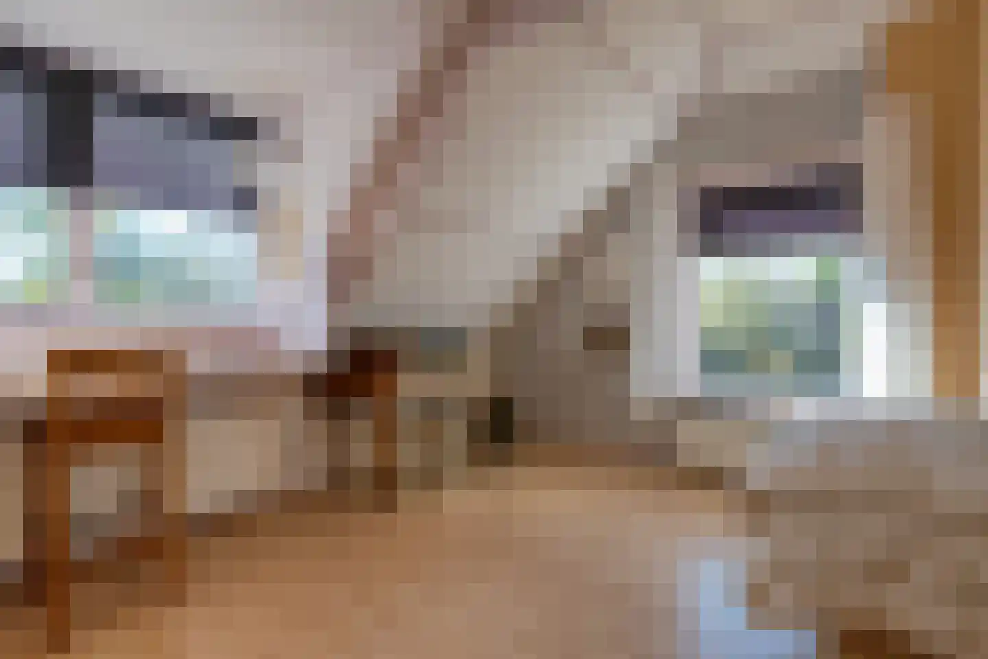 Eemster 23 Dwingeloo thumbnail 26
