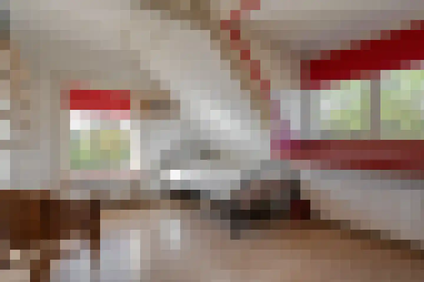 Eemster 23 Dwingeloo thumbnail 28
