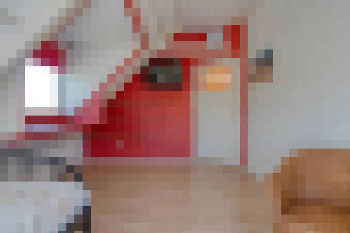 Eemster 23 Dwingeloo thumbnail 29