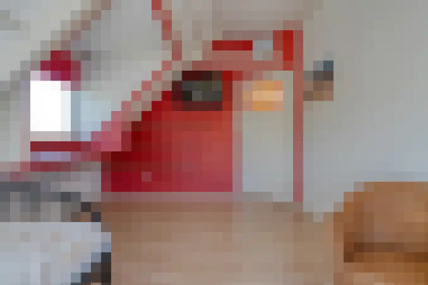 Eemster 23 Dwingeloo thumbnail 29