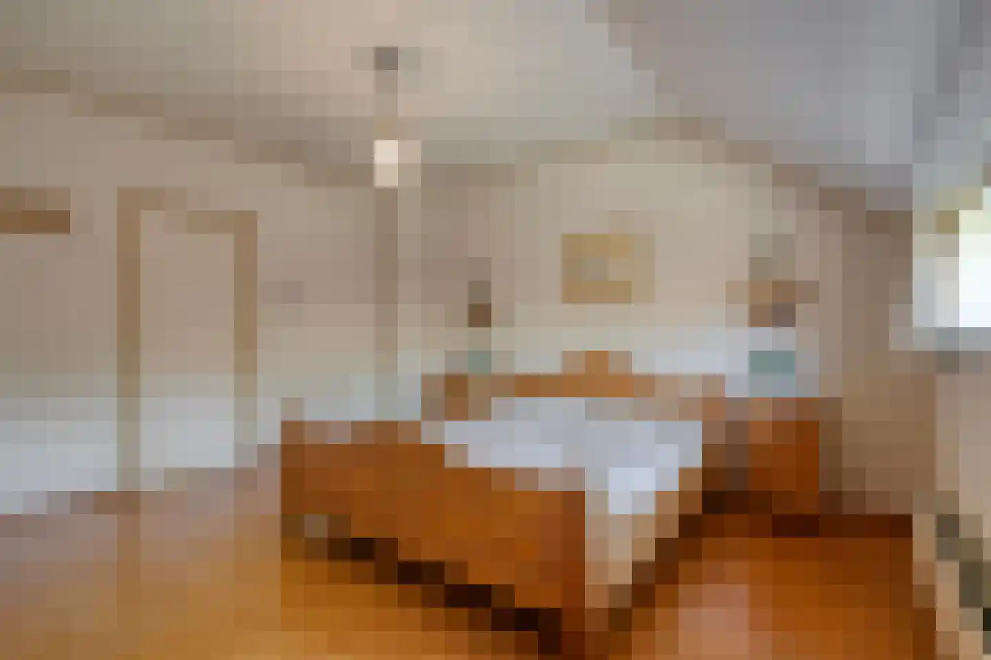 Eemster 23 Dwingeloo thumbnail 38