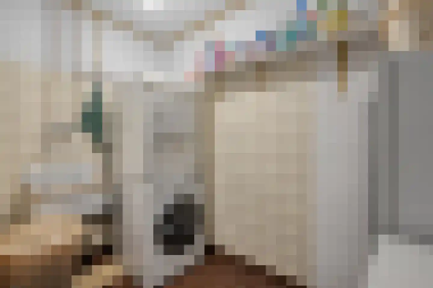 Eemster 23 Dwingeloo thumbnail 39